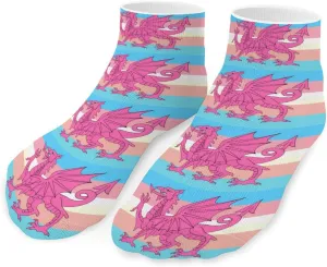 Welsh Trans Dragon Flag Unisex Ankle Socks Low Cut Funny Print Athletic No Show Stocking